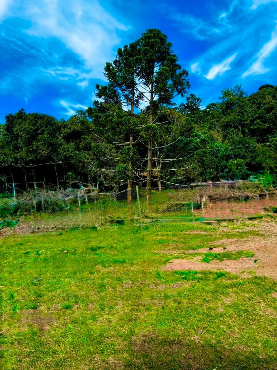 Vende se chacara 