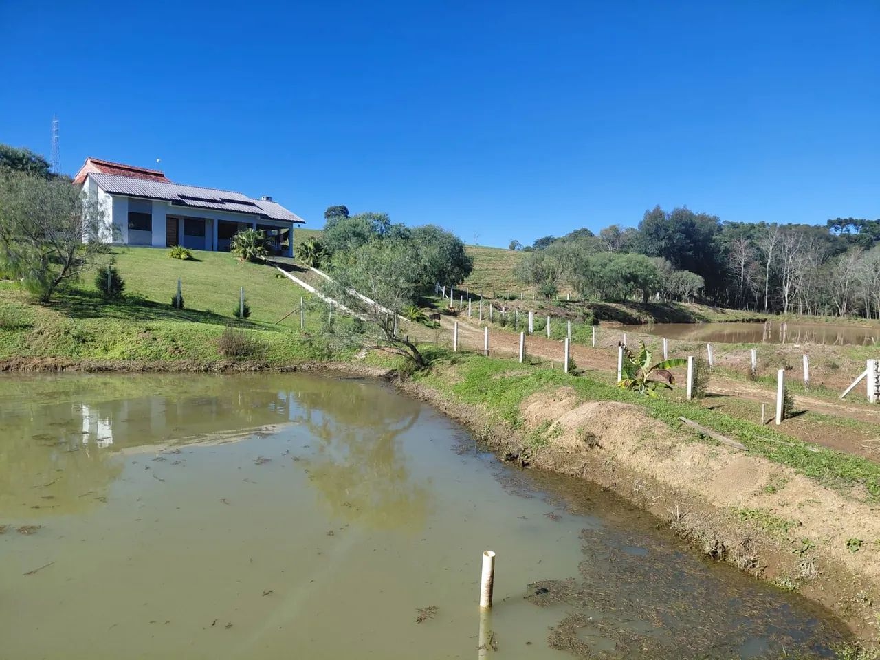 Vende se casa a 9 km de prudentopolis  - Foto 3