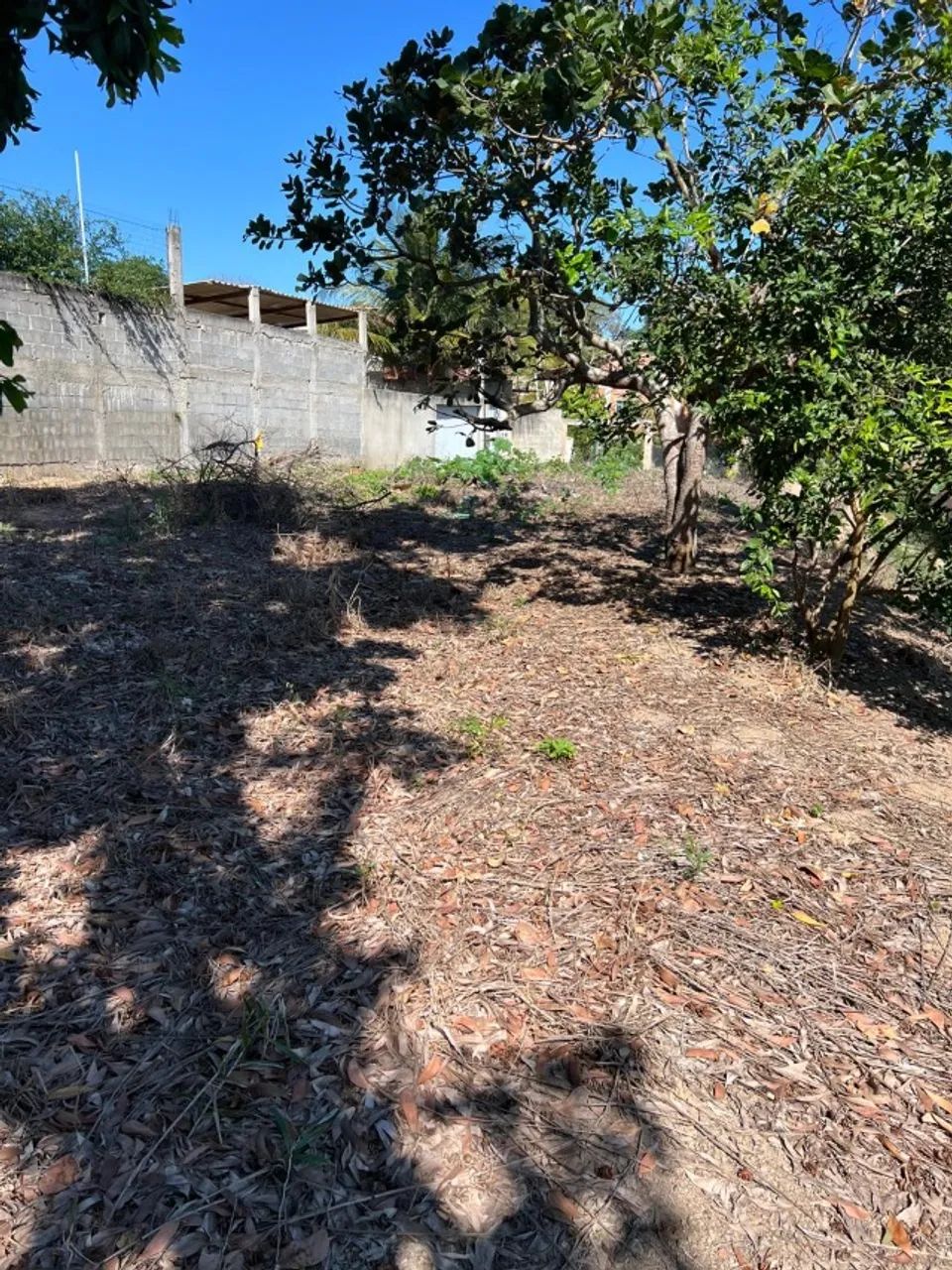 Terreno medindo 390m2 - Quase dois lotes - Foto 4