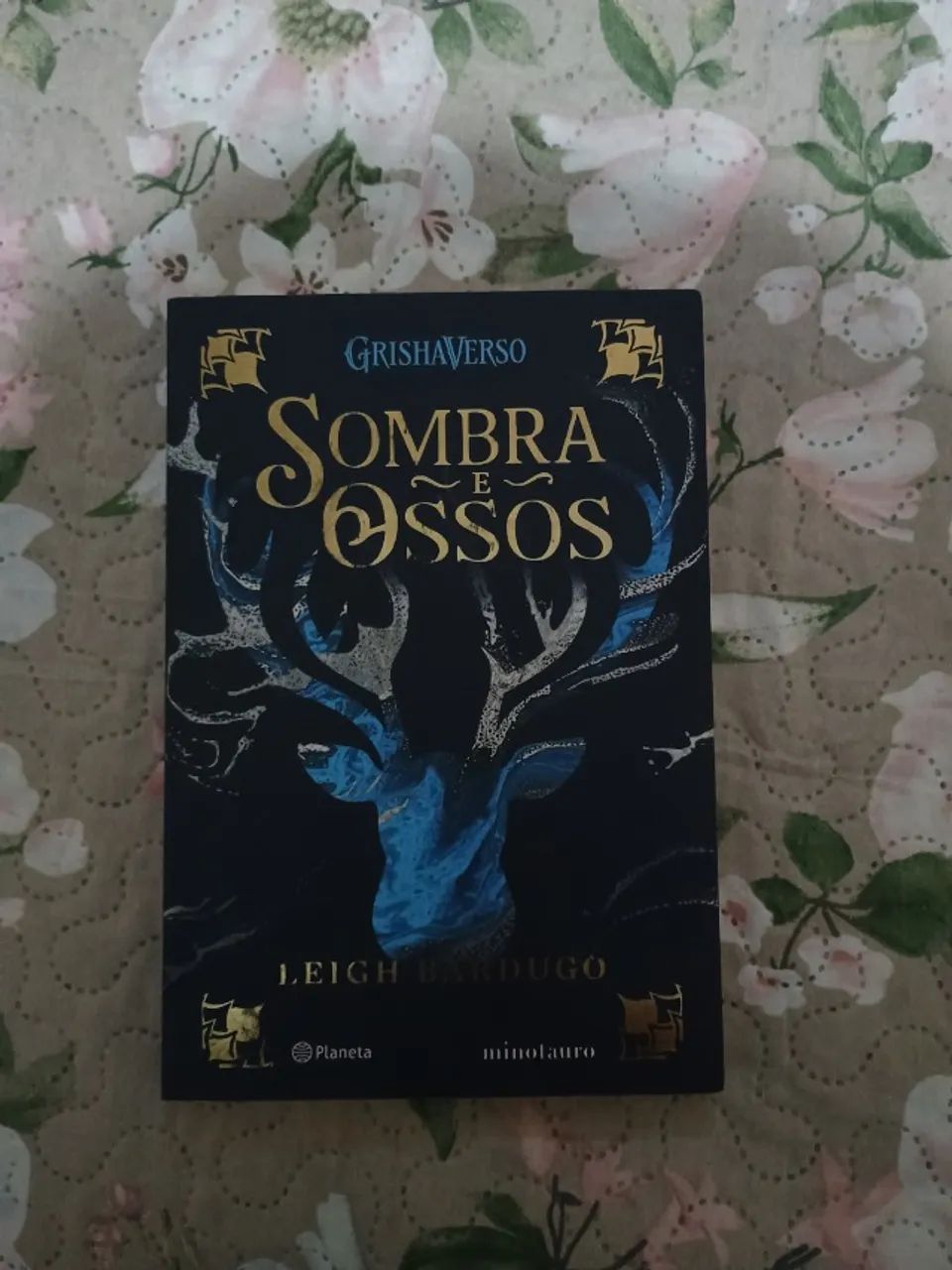 Livro Sombra e ossos 
