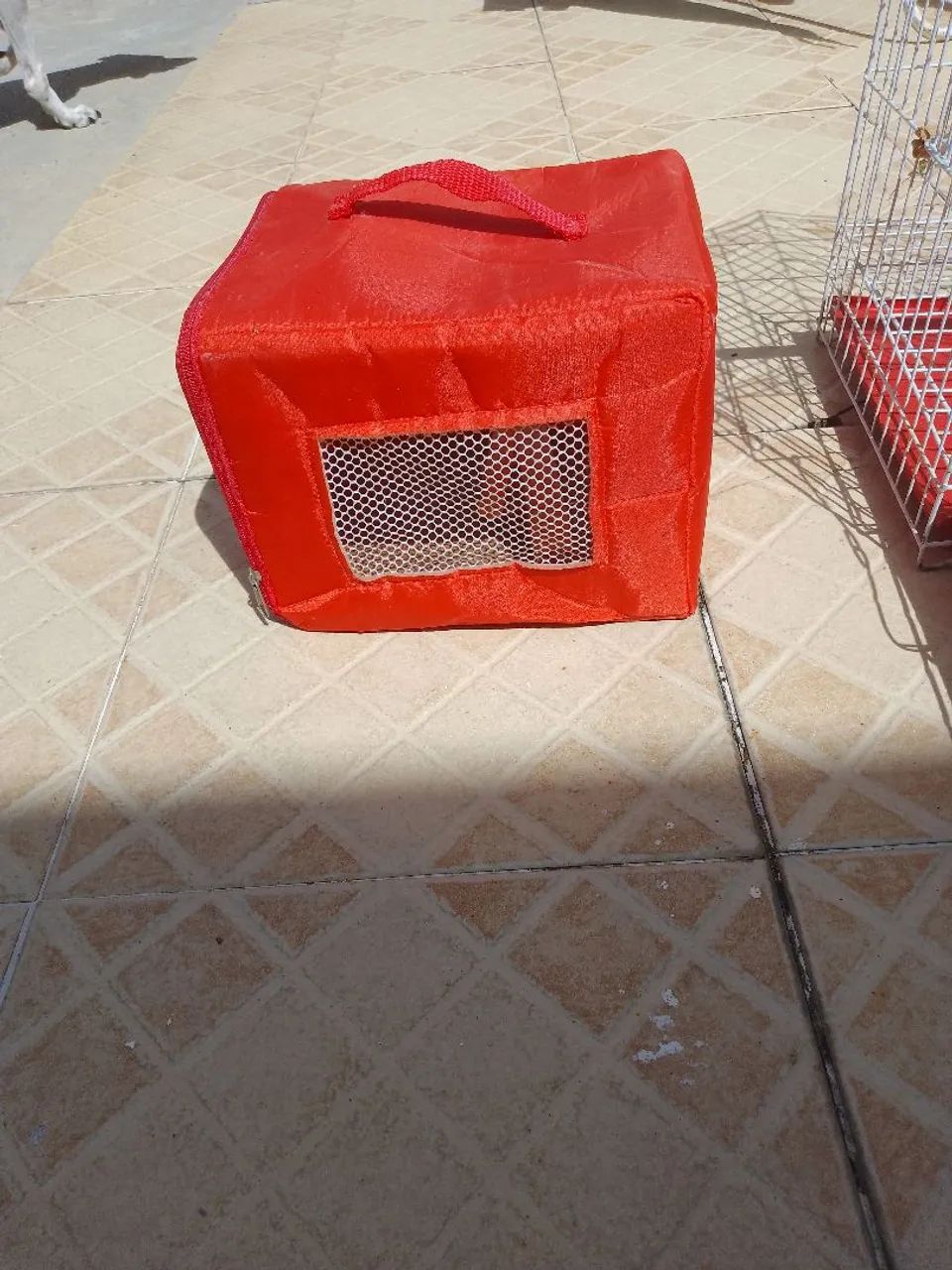 Kit gaiolas e transporte  - Foto 2
