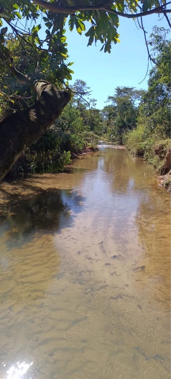 Chácaras no Girassol com terrenos  planos de 2500m² - Foto 4