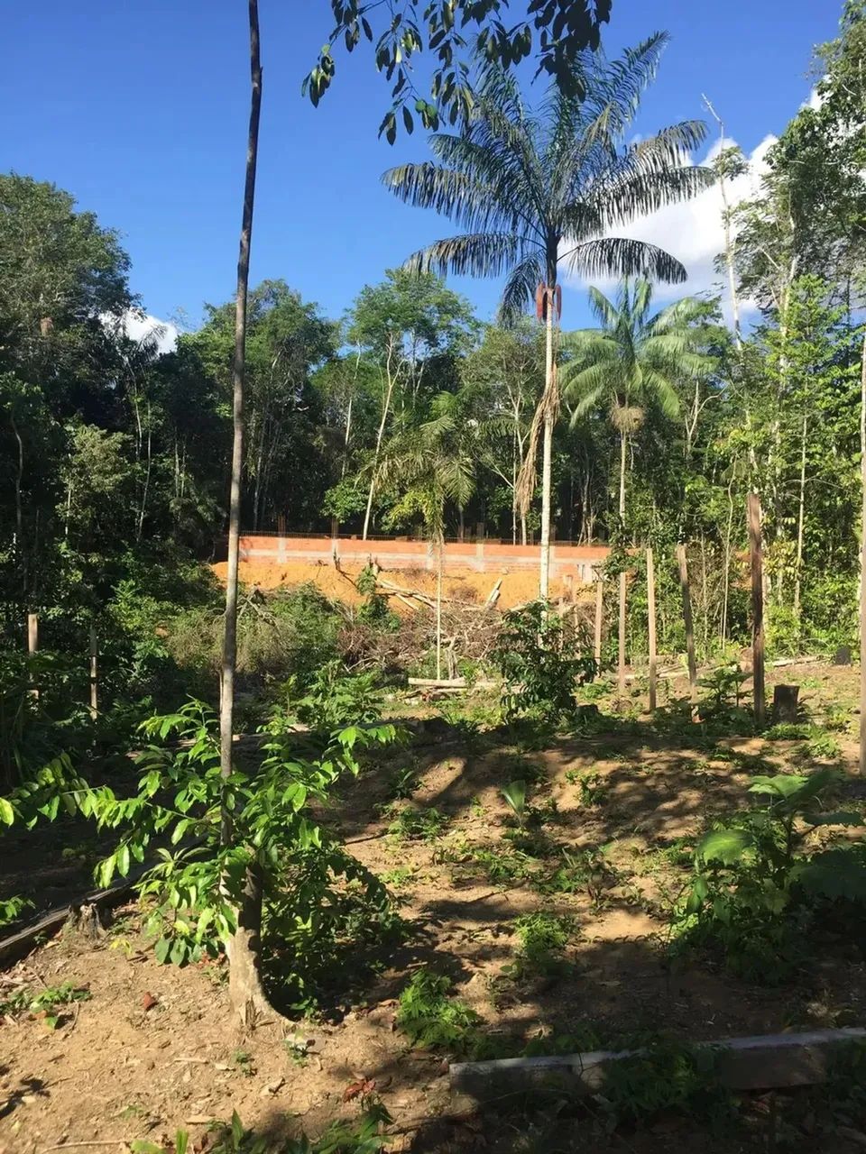 ...Vendo lote na estrada do cetur . - Foto 3