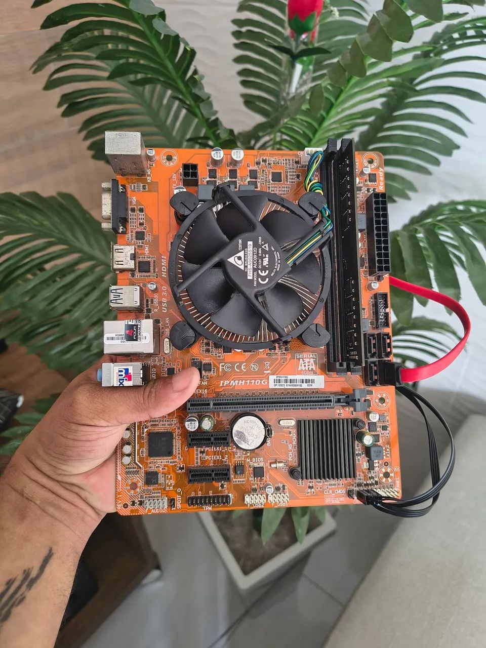 CPU Pentium Lga 1151 7ªGen 8gb