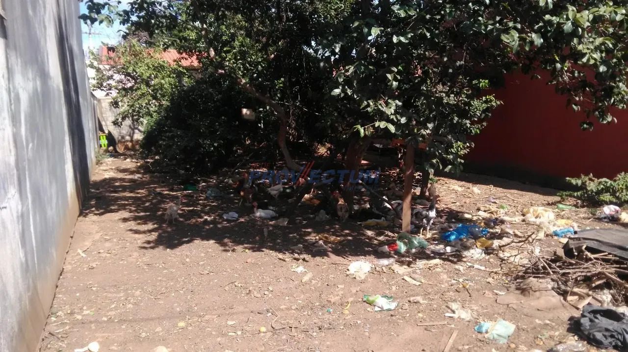 terreno - Parque Via Norte - Campinas - Foto 2