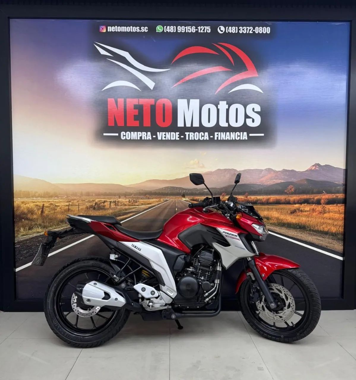 FZ25 250 FAZER FLEX