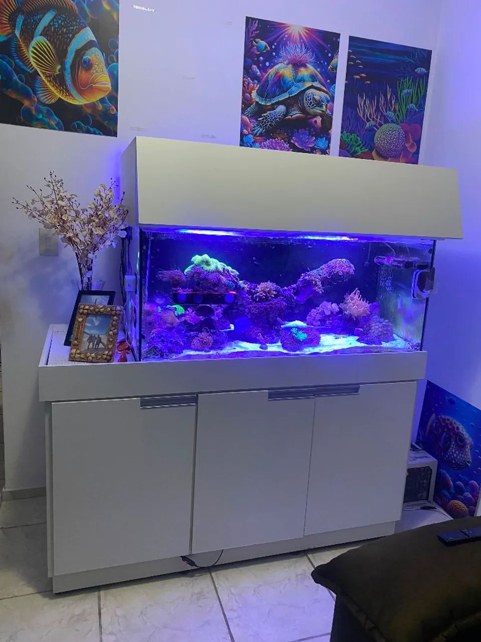 AQUÁRIO MARINHO COMPLETO 