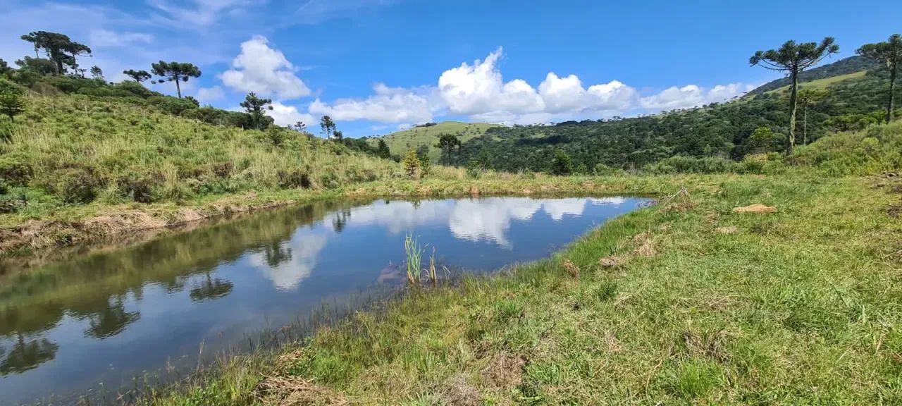 Urubici- Serra Catarinense- 42600 m² - Foto 4