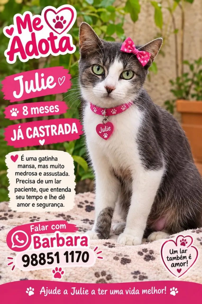 GATAS LINDAS E CASTRADAS - Foto 5