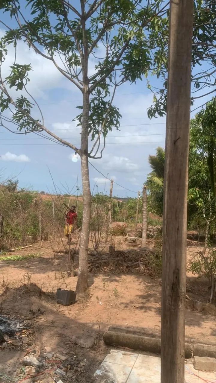 Terreno pra venda  - Foto 2
