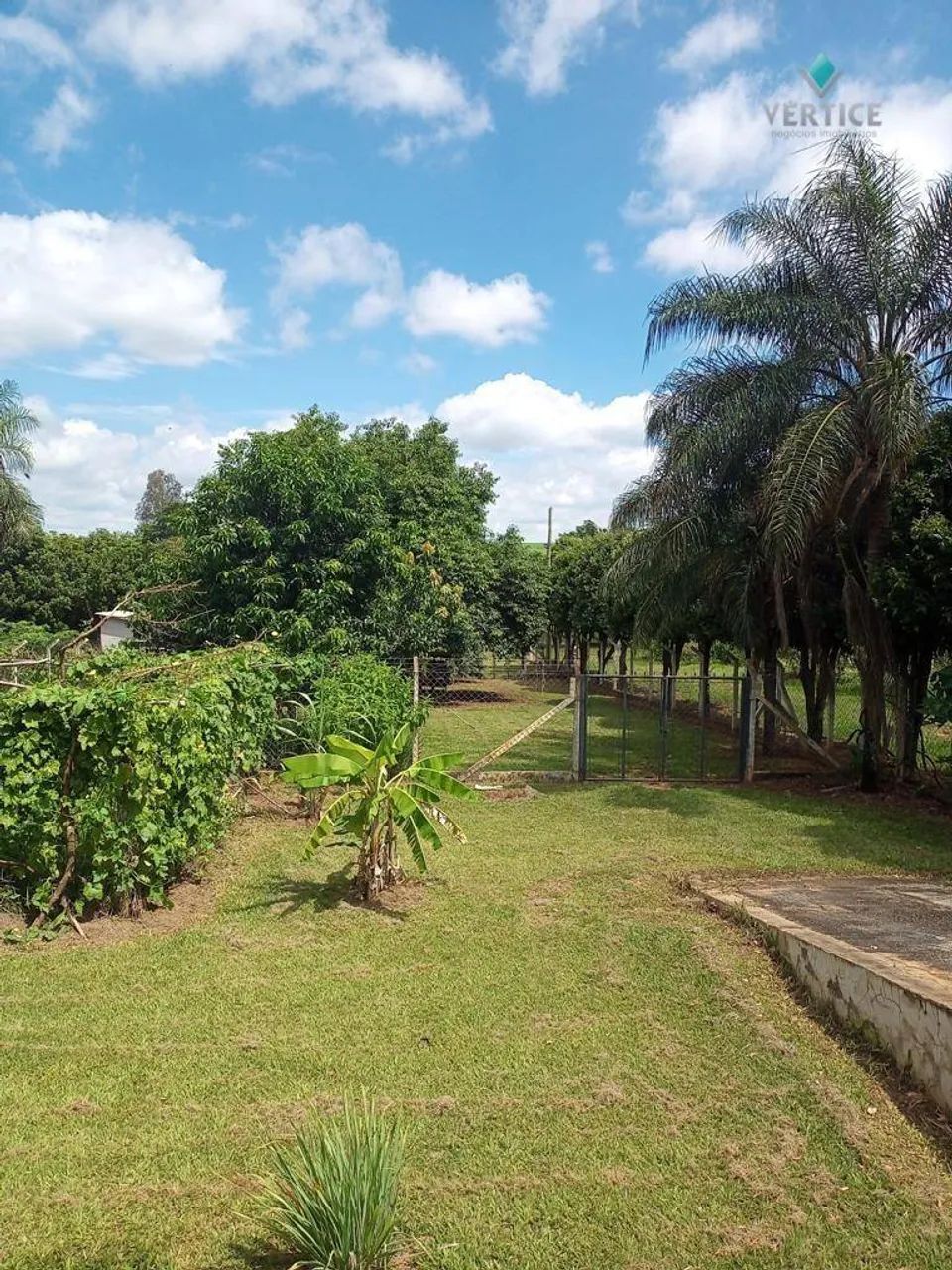 Rancho Sobradinho com 3 dormitórios sendo uma suíte - Foto 4