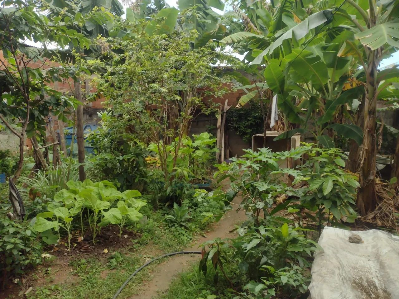 Vendo casa c/ 1 kitnet e 1 loja  - Foto 5