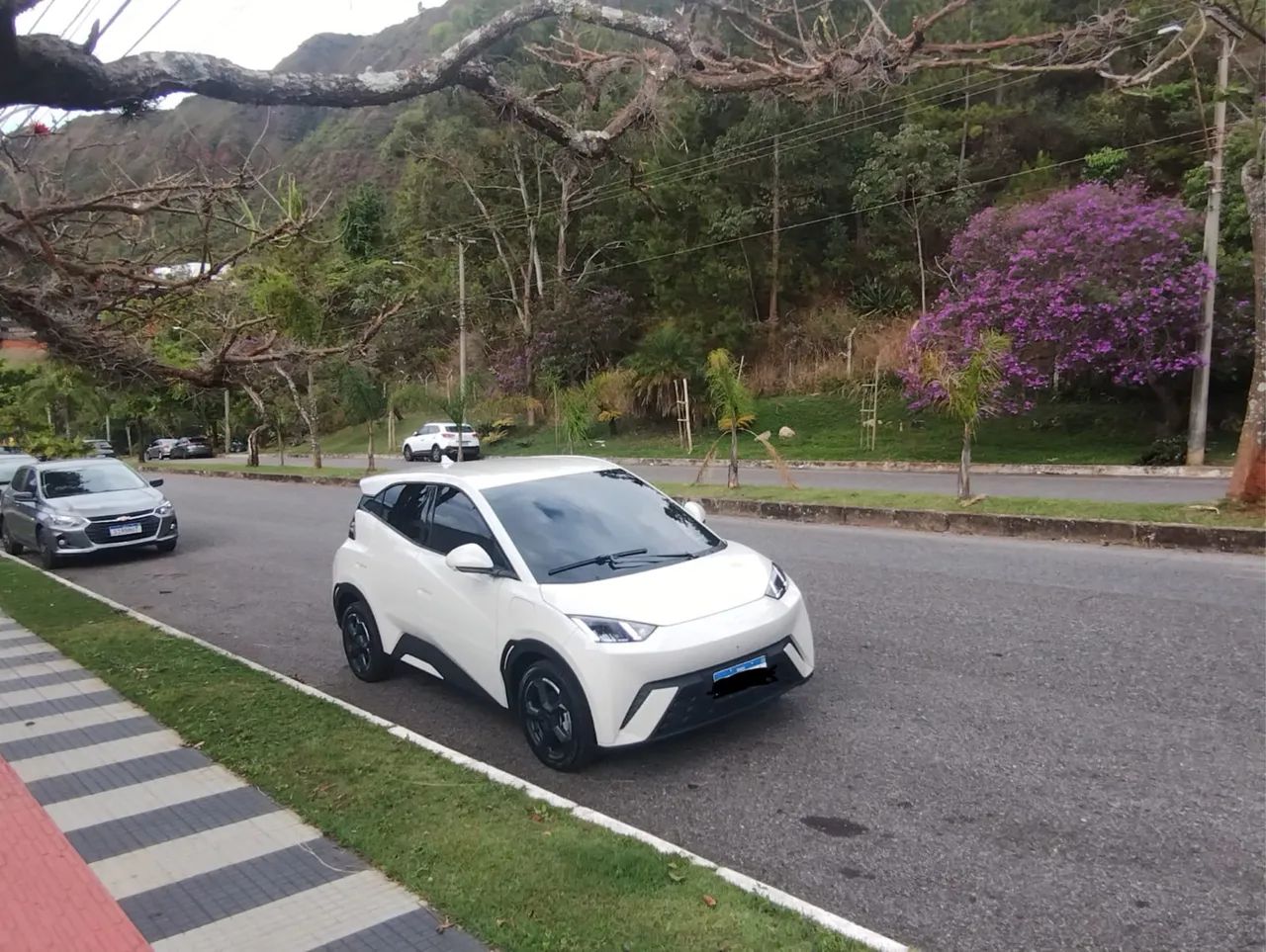 BYD Dolphin Mini (Elétrico) 2025 - Foto 3
