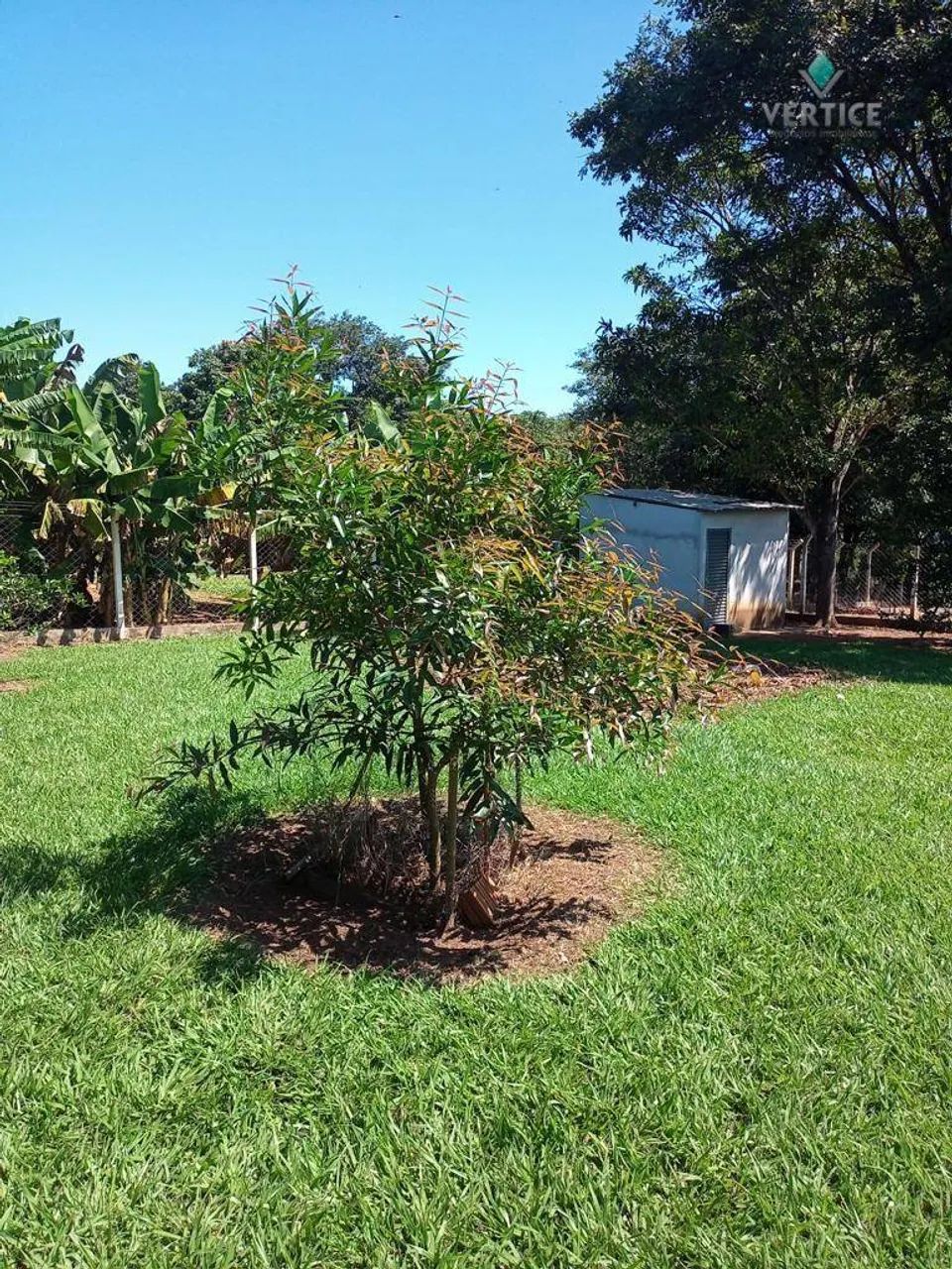 Rancho Sobradinho com 3 dormitórios sendo uma suíte - Foto 2