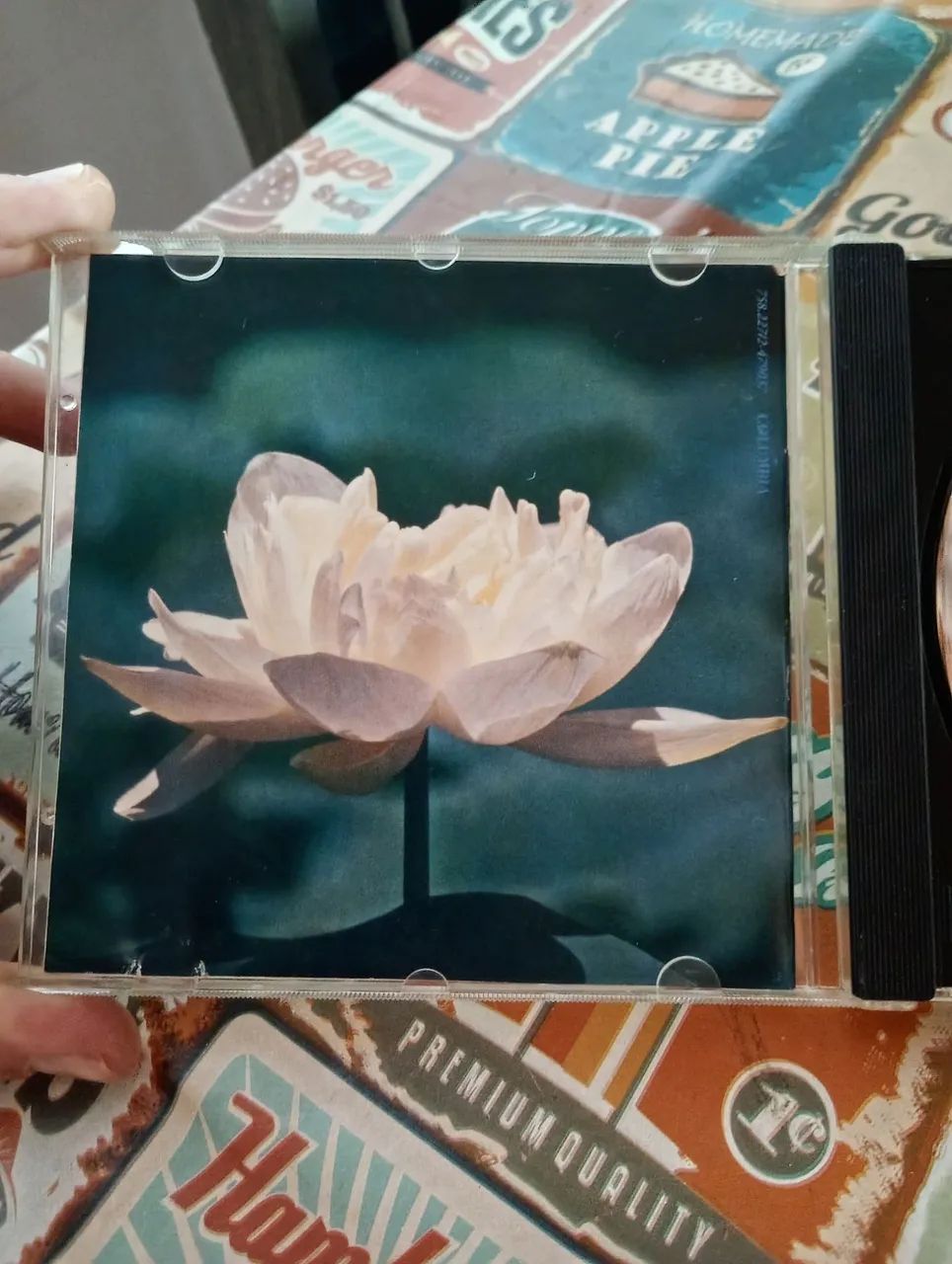 Cd Simone Bittencourt de oliveira  - Foto 4