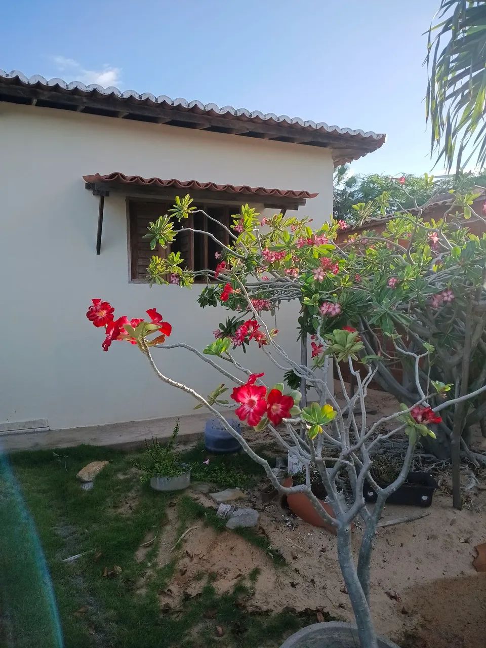 Vendo uma casa  - Foto 3