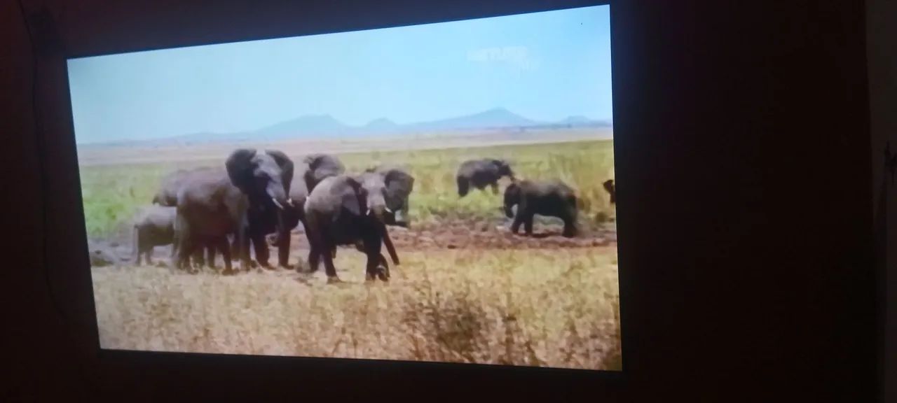 Televisão  - Foto 2