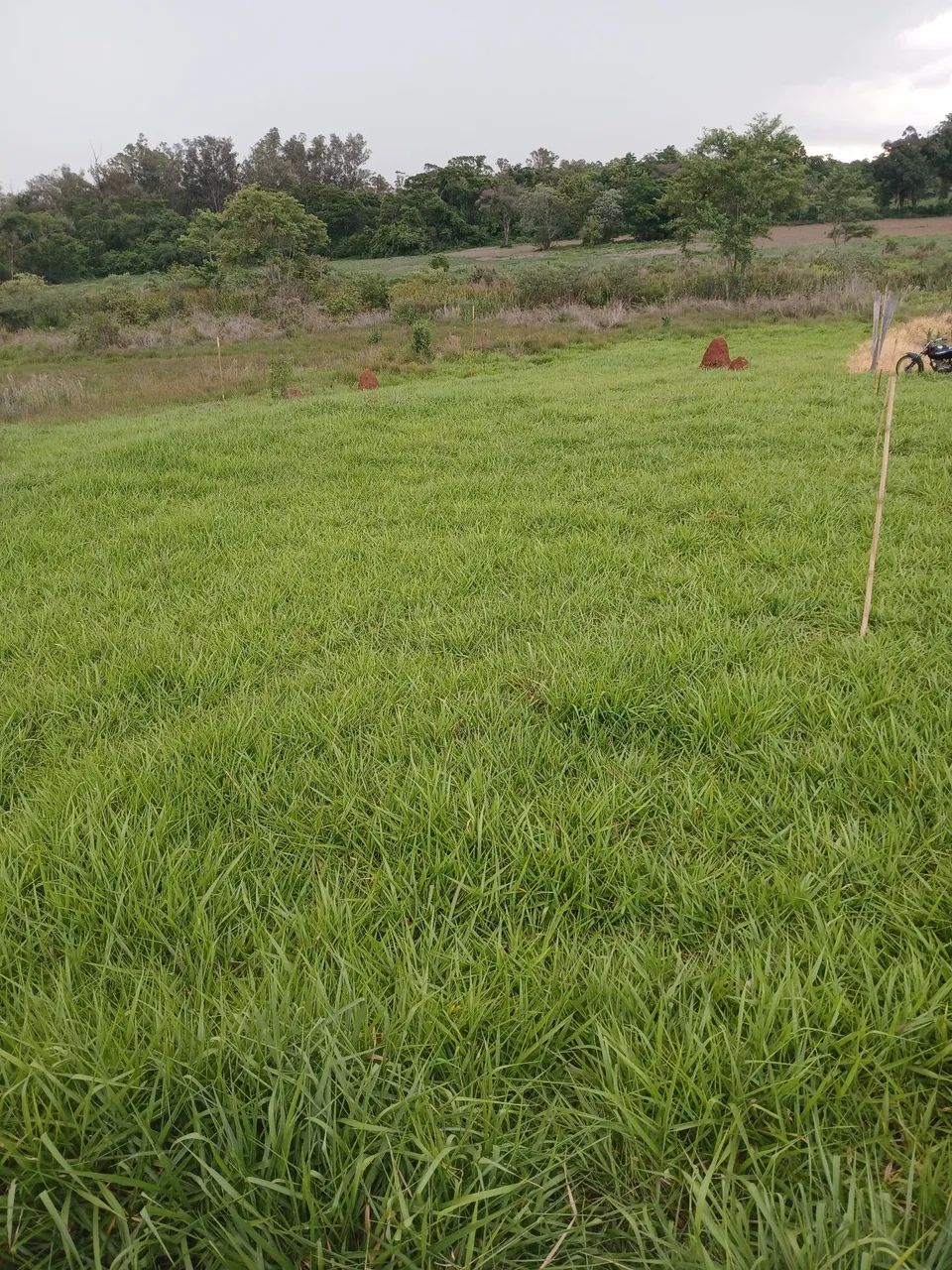 Terreno à Venda - Cesário Lange / SP - Foto 2