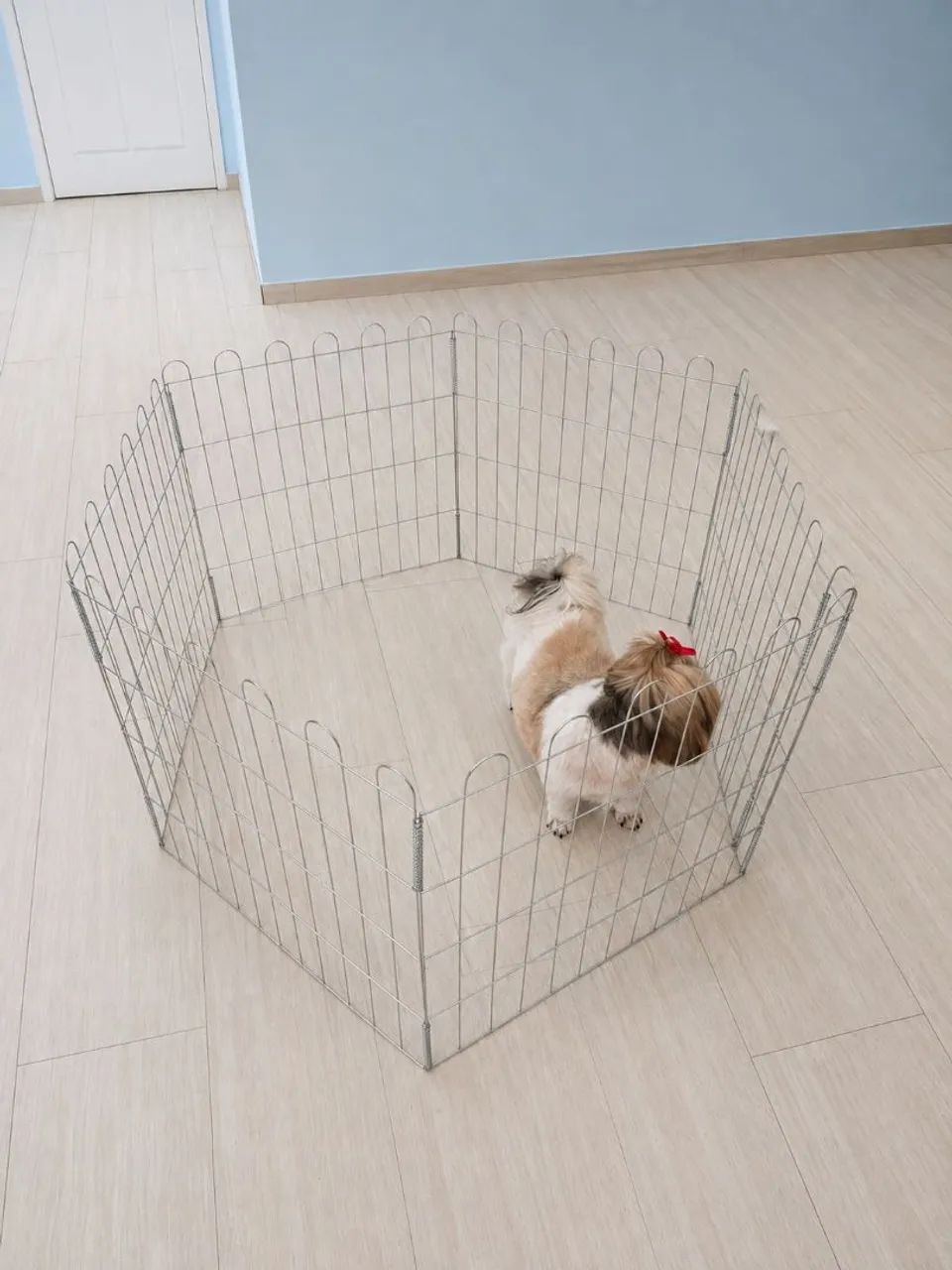 Casinha + Cercado para Cachorro - Foto 3