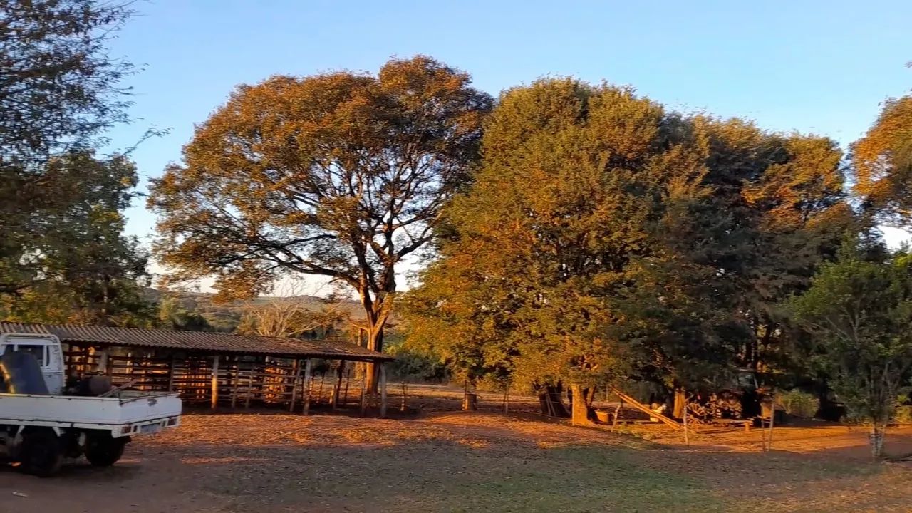 Fazenda próximo a Uberlândia  - Foto 3