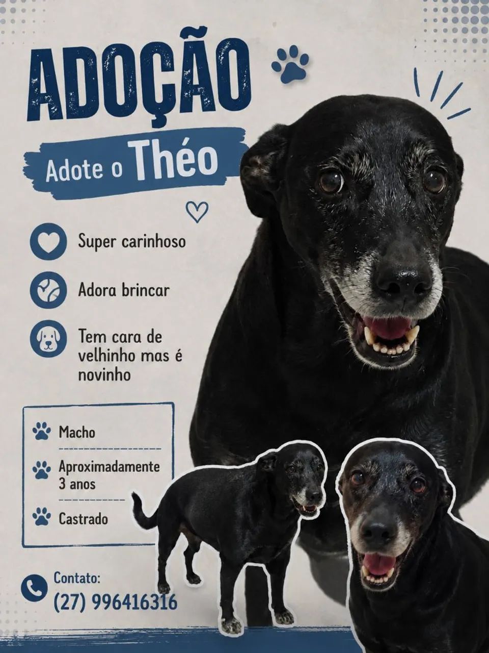 Cachorrinho para adoção!!!