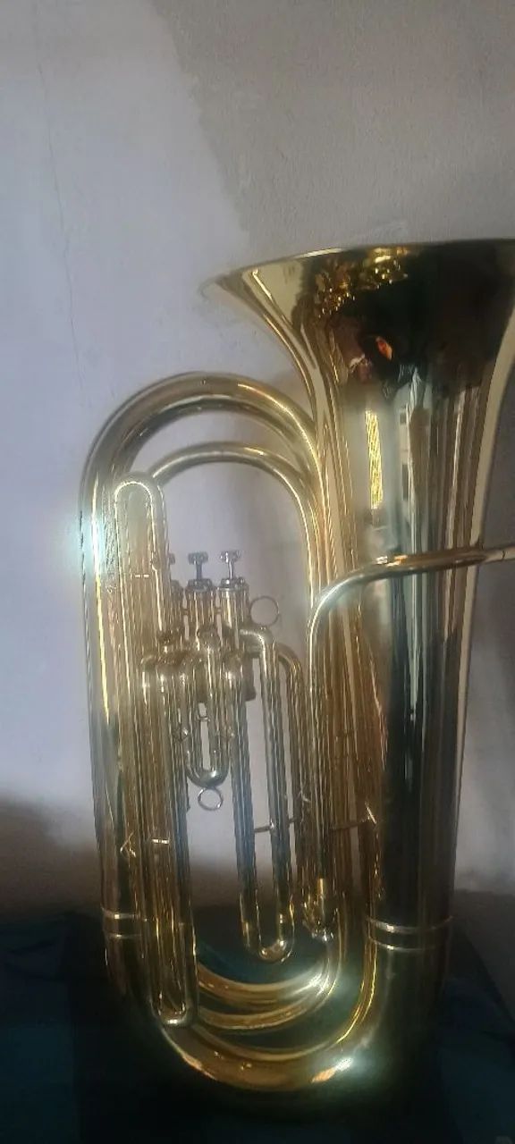 Tuba king 