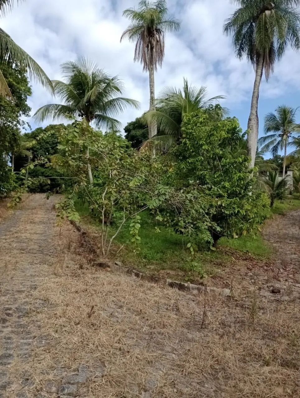 Chácara em Muribaca dos Guararapes,Sítio Sapé  - Foto 5