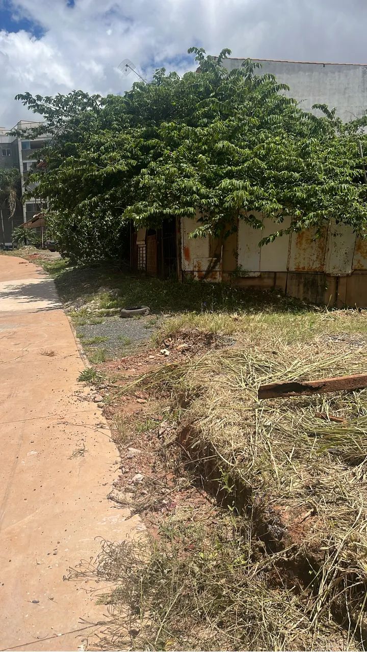 Foto - Brasília - Nova Colina