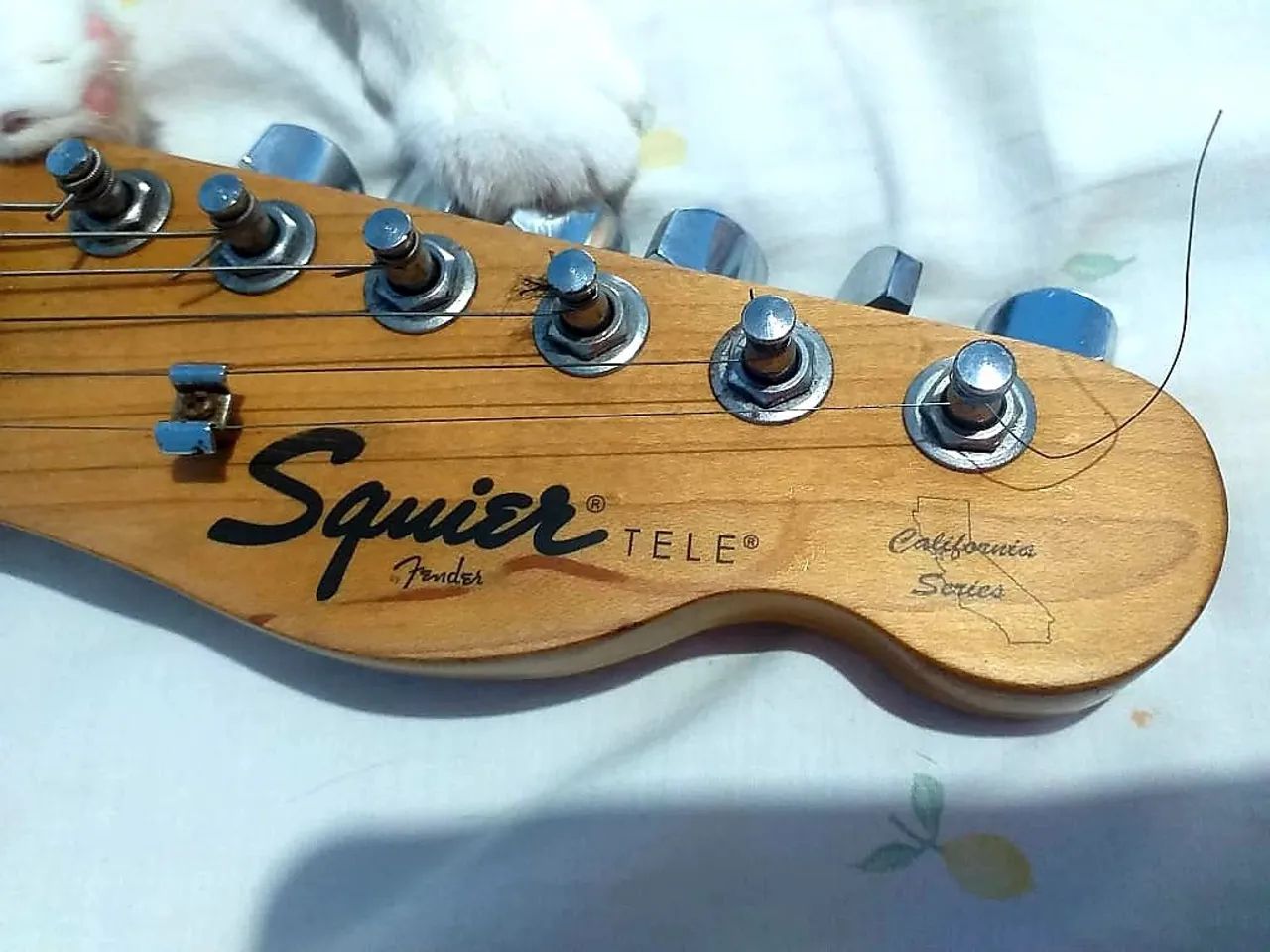 Guitarra  - Foto 2