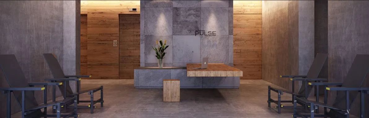 PULSE - Foto 4