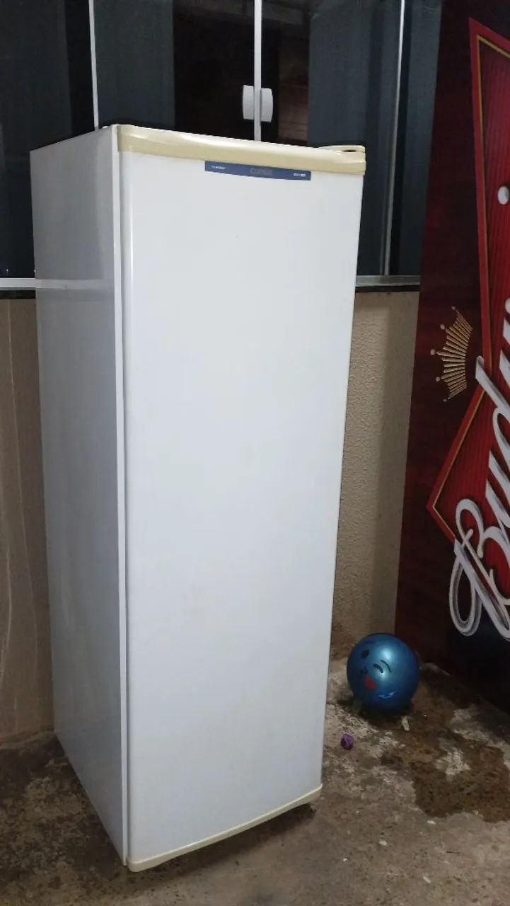 Freezer Vertical 