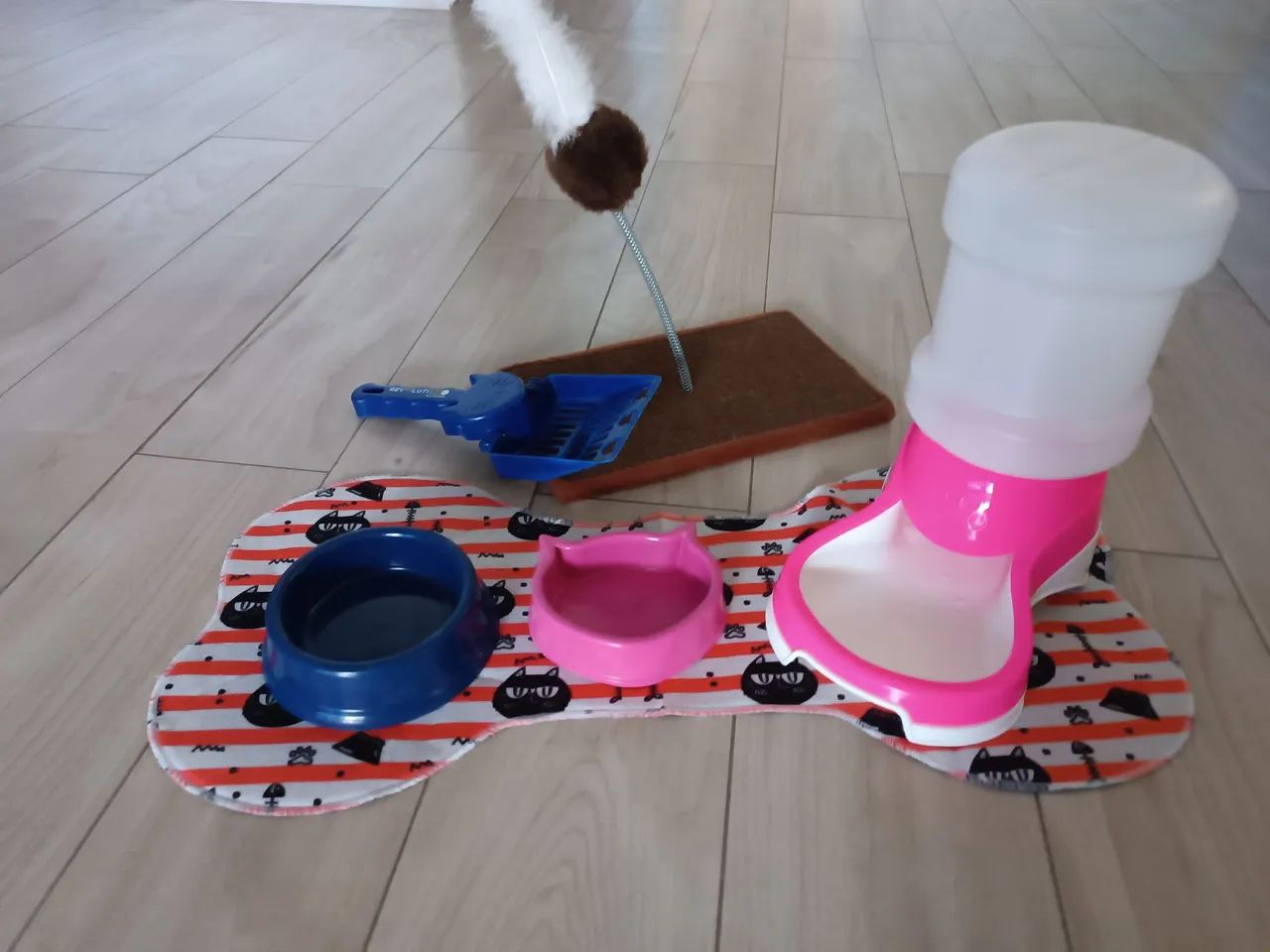 Kit para gato 