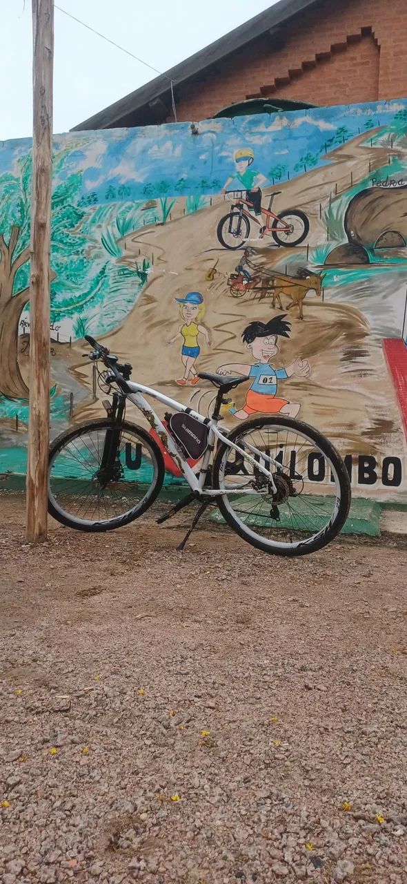 Bicicleta Dragon - Foto 4