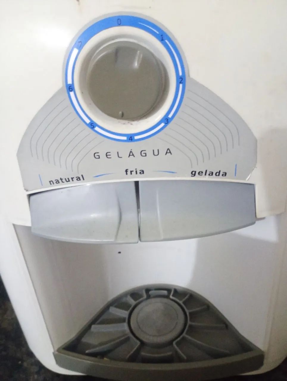 Gelagua Esmaltec 