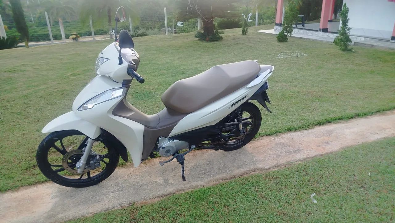 Raridade - Foto 4
