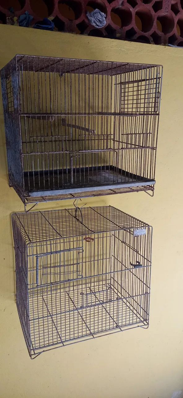 Gaiola - Foto 2