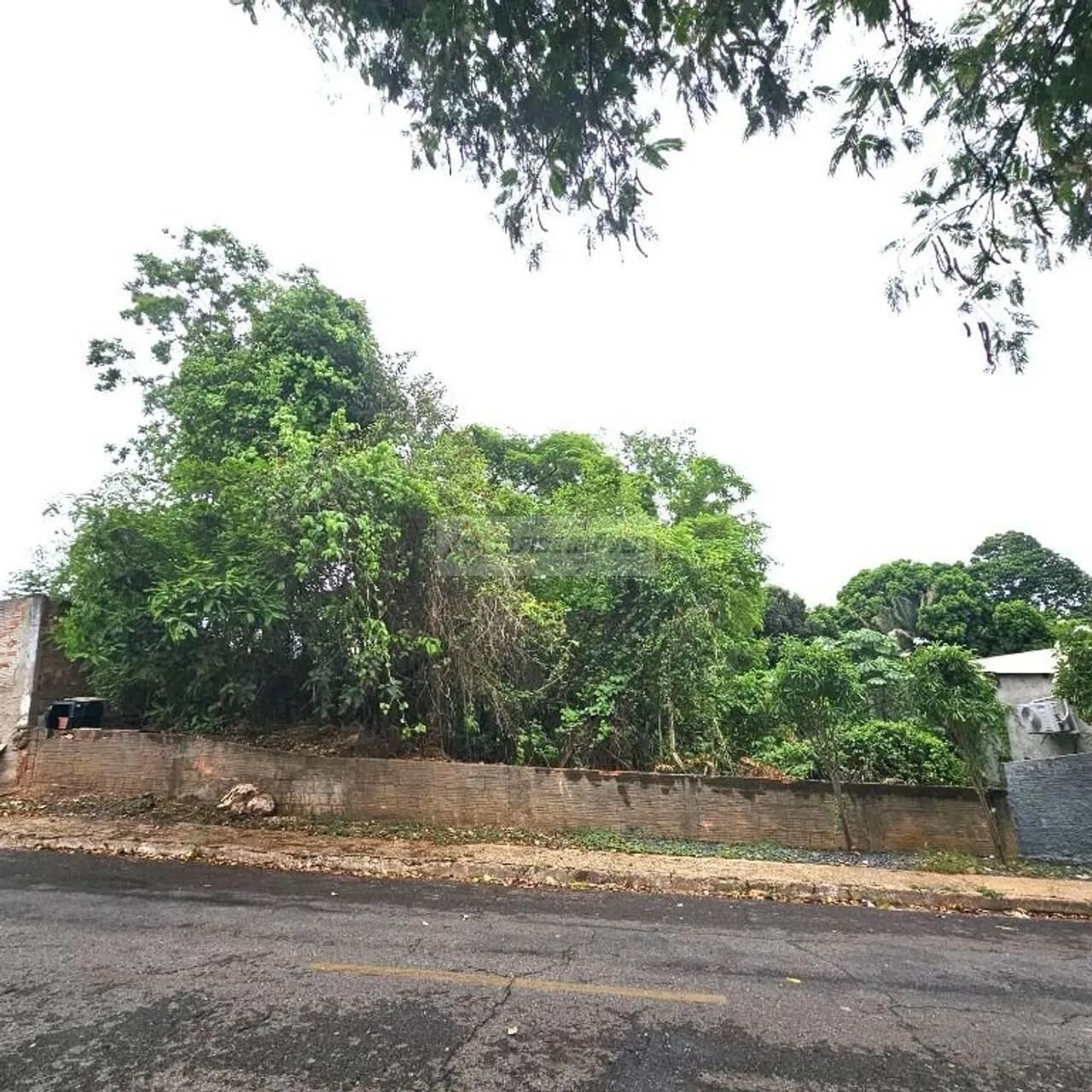 Terreno Santa Cruz