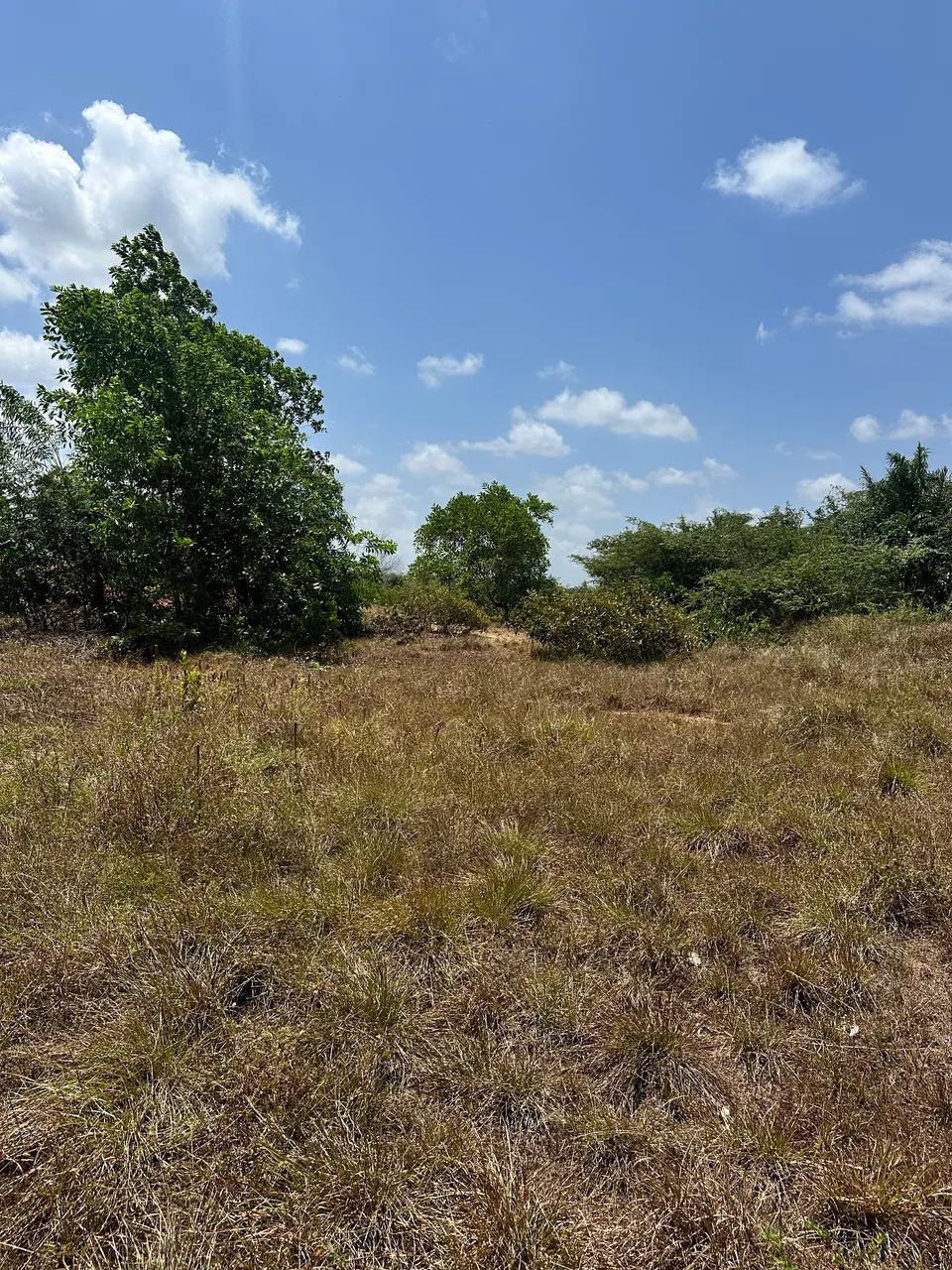 Terreno  - Foto 2