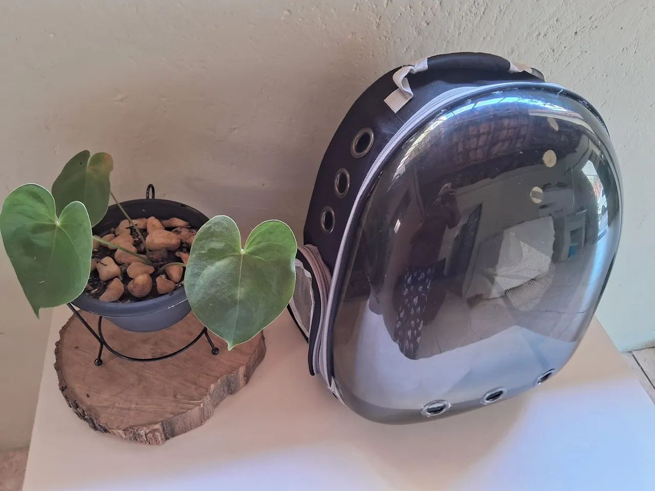 Transporte para animais mochila