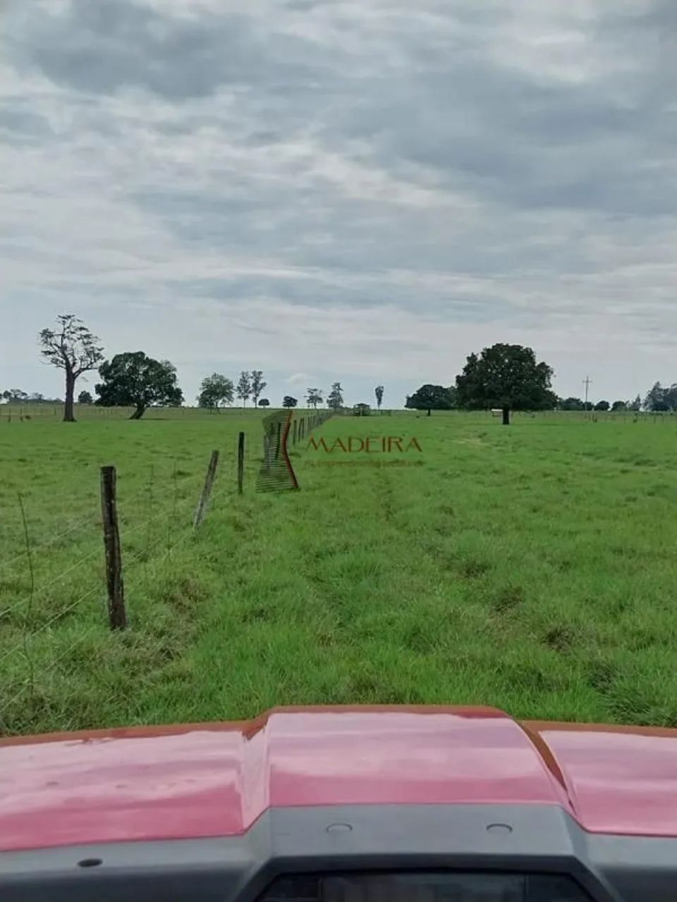 Sítio de 3 alqueires a venda em Terra Rica - PR - Foto 5