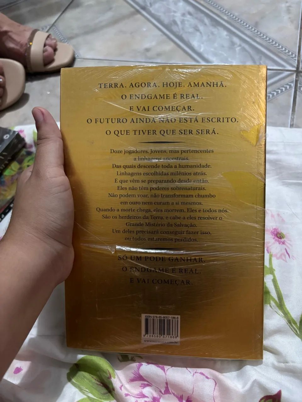 Endgame - o chamado  - Foto 2