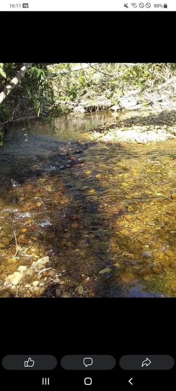 Vendo chácara escriturada a 31 km de Pirenópolis - Foto 3