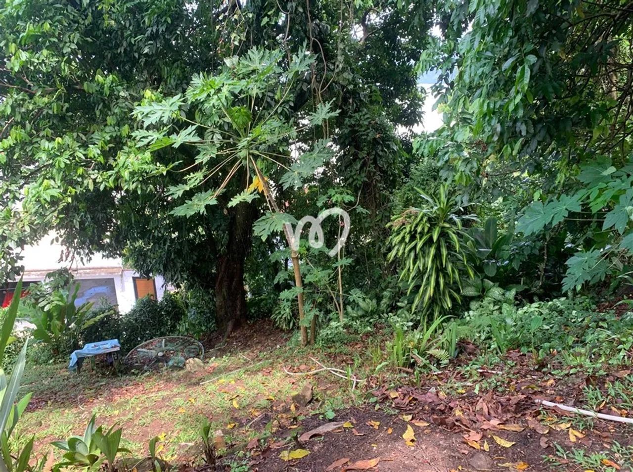 TERRENO de FÁCIL ACESSO à PRAIA de JUNQUEIRA - Foto 2