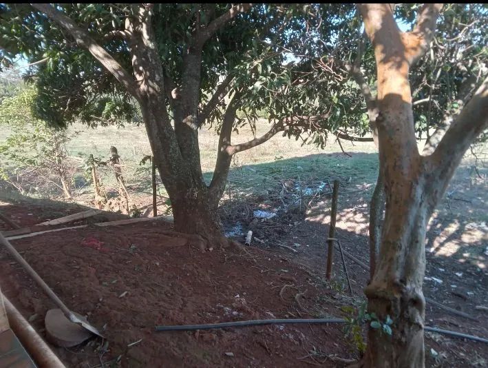 Vendo sítio na cidade de Tatuí SP excelente localização ideal para criação de gado  - Foto 12