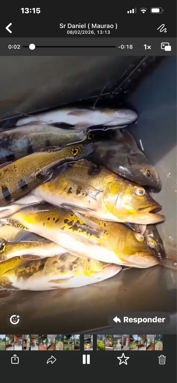 Recanto bela vista alugo por temporada 