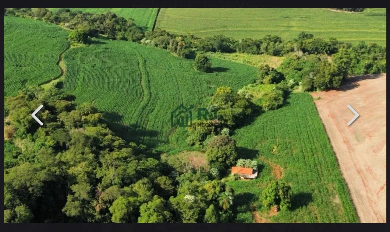 Sitio a venda em Borrazopolis pr - Foto 5