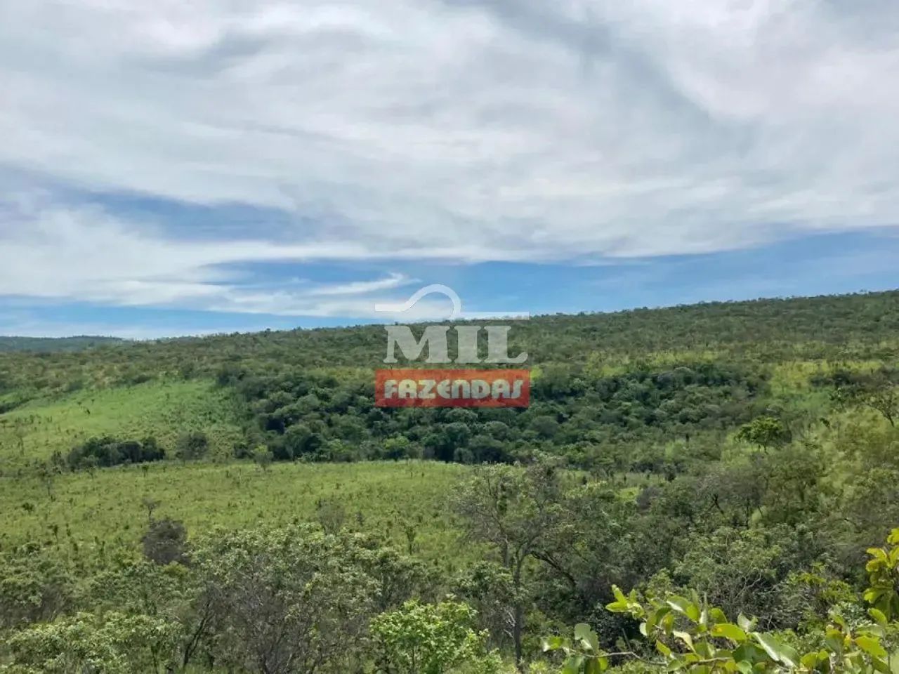 Fazenda 342 Alqueires (1.655 hectares) Arraias - TO - Foto 4
