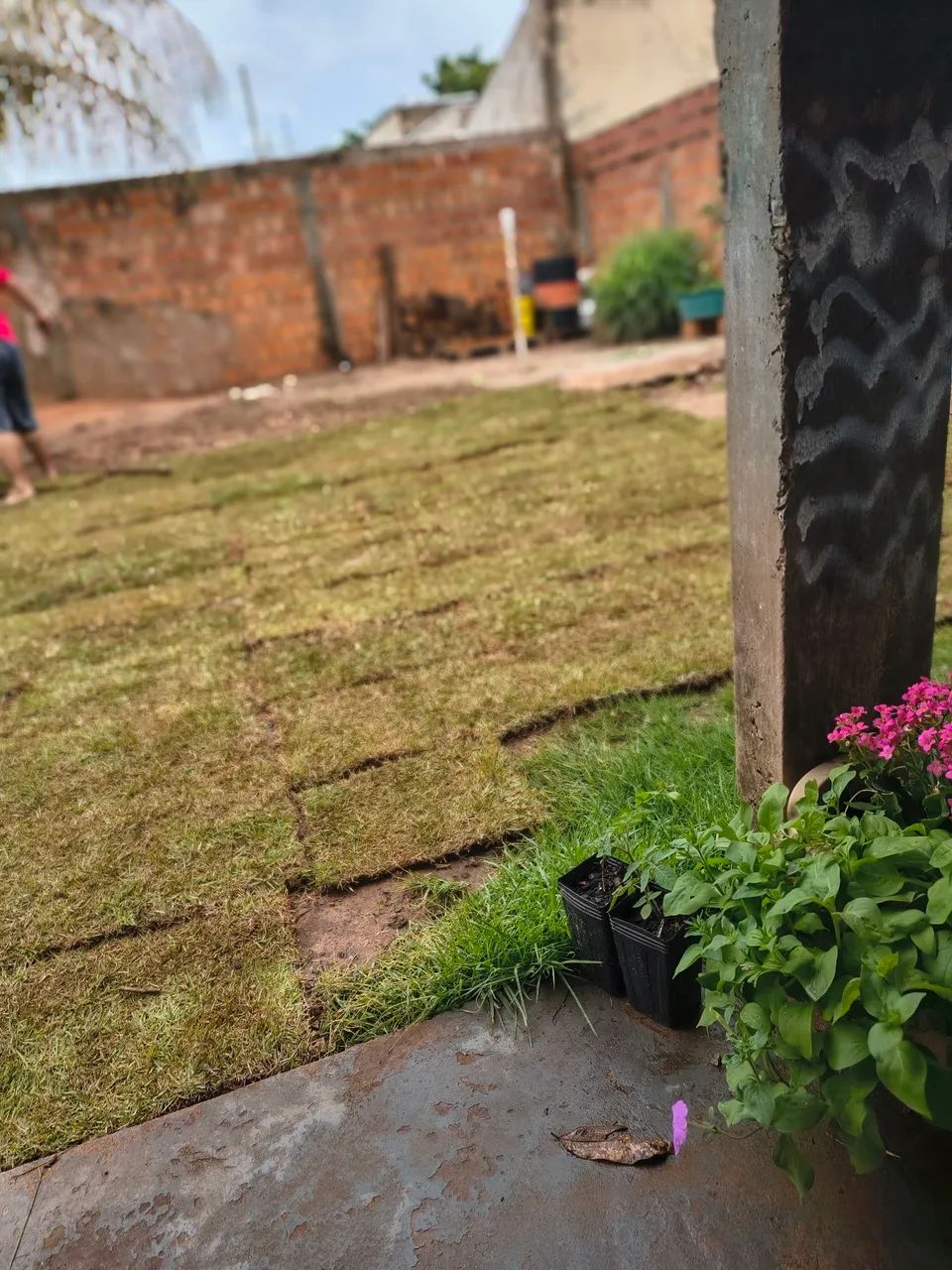 Manutenção de jardins e áreas externas  - Foto 5