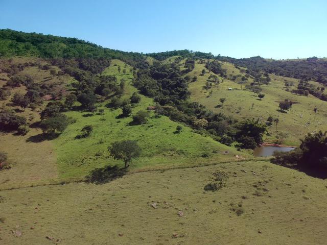 Fazenda 25 Alqueires ( 121 hectares )-Varjão-GO porteira fechada - Foto 5