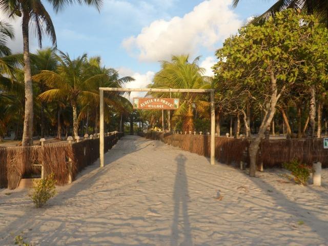 Gleba de Terras, Ilha de Tubarão, Camamu-BA - Foto 4
